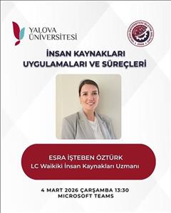 İnsan Kaynakları Alanındaki Uygulamalar, Sektörel Deneyimler ve Kariyer Süreci